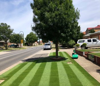 Lawn Fertilisers - Lawn Rules Australia