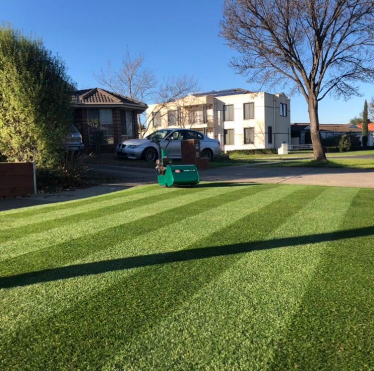 Best Weed Killer For Lawns Lawn Rules Australia