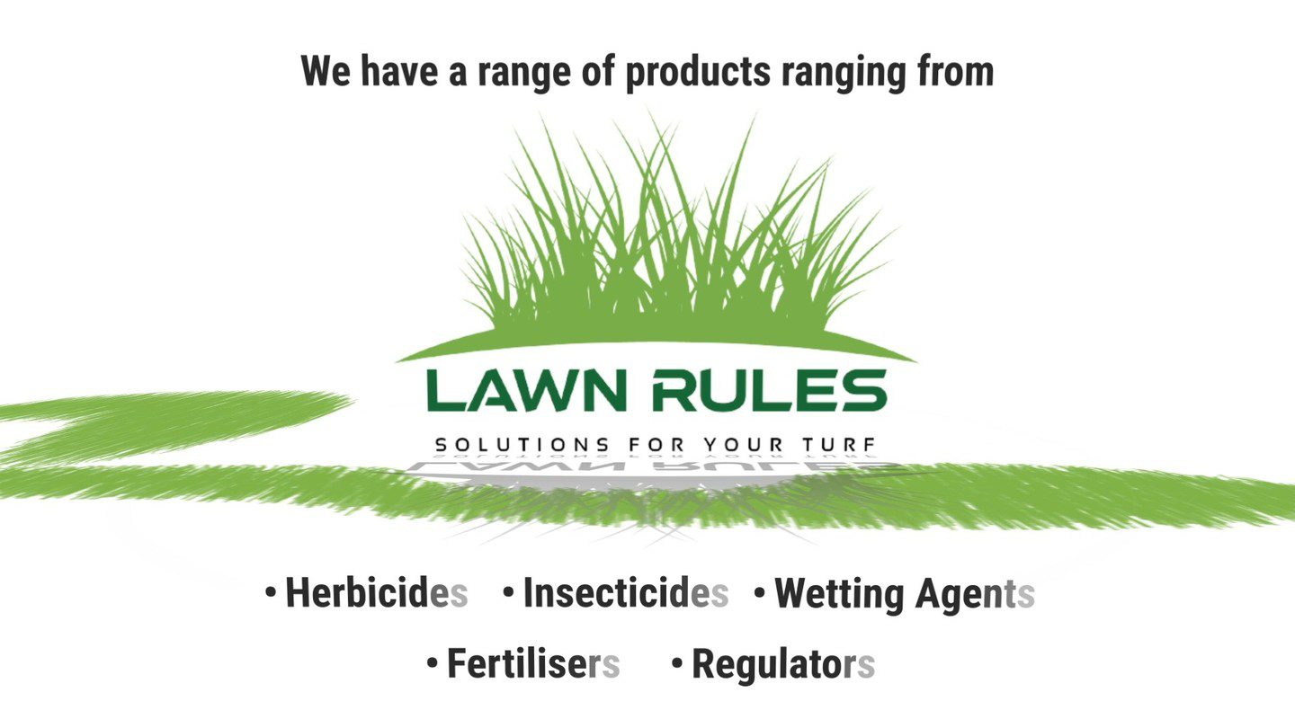 Lawn Weeds Lawn Solutions Weed Killer for Lawns Best Liquid Lawn Fertiliser Lawn Grub