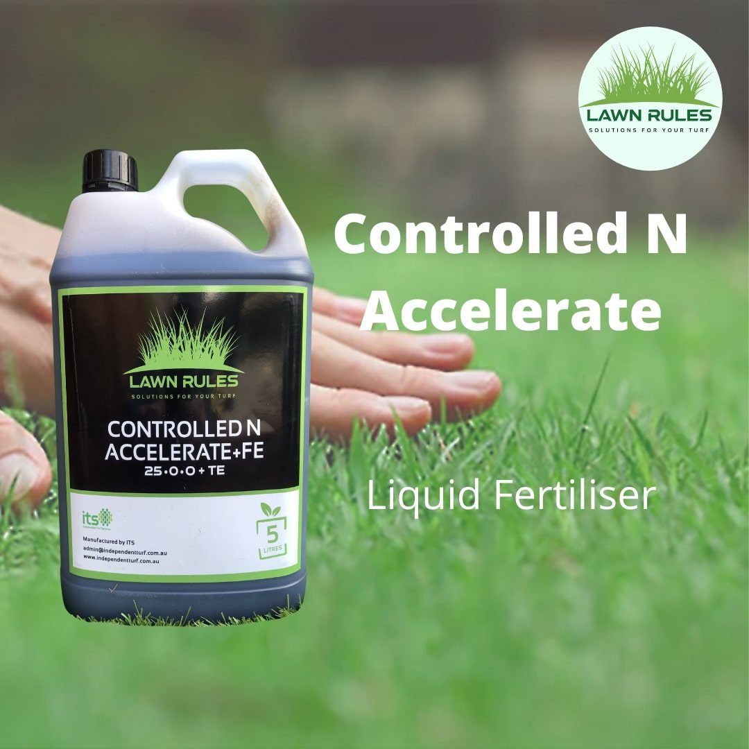 The Benefits of Fertilising Your Lawn Lawn Rules Australia