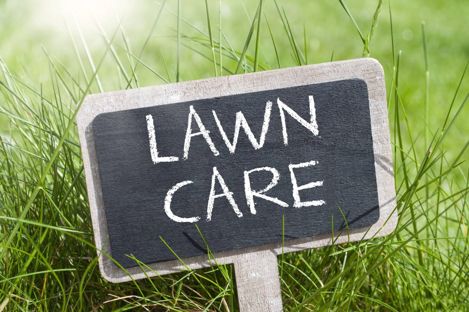 lawn-fertilisers-lawn-rules-australia