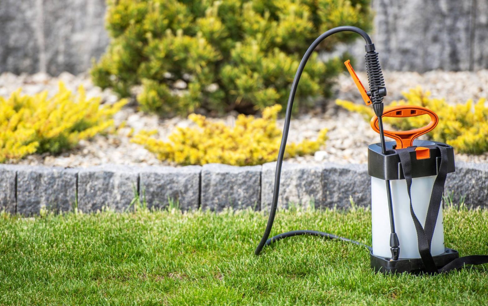 lawn-fertilizer-advantages-lawn-rules-australia