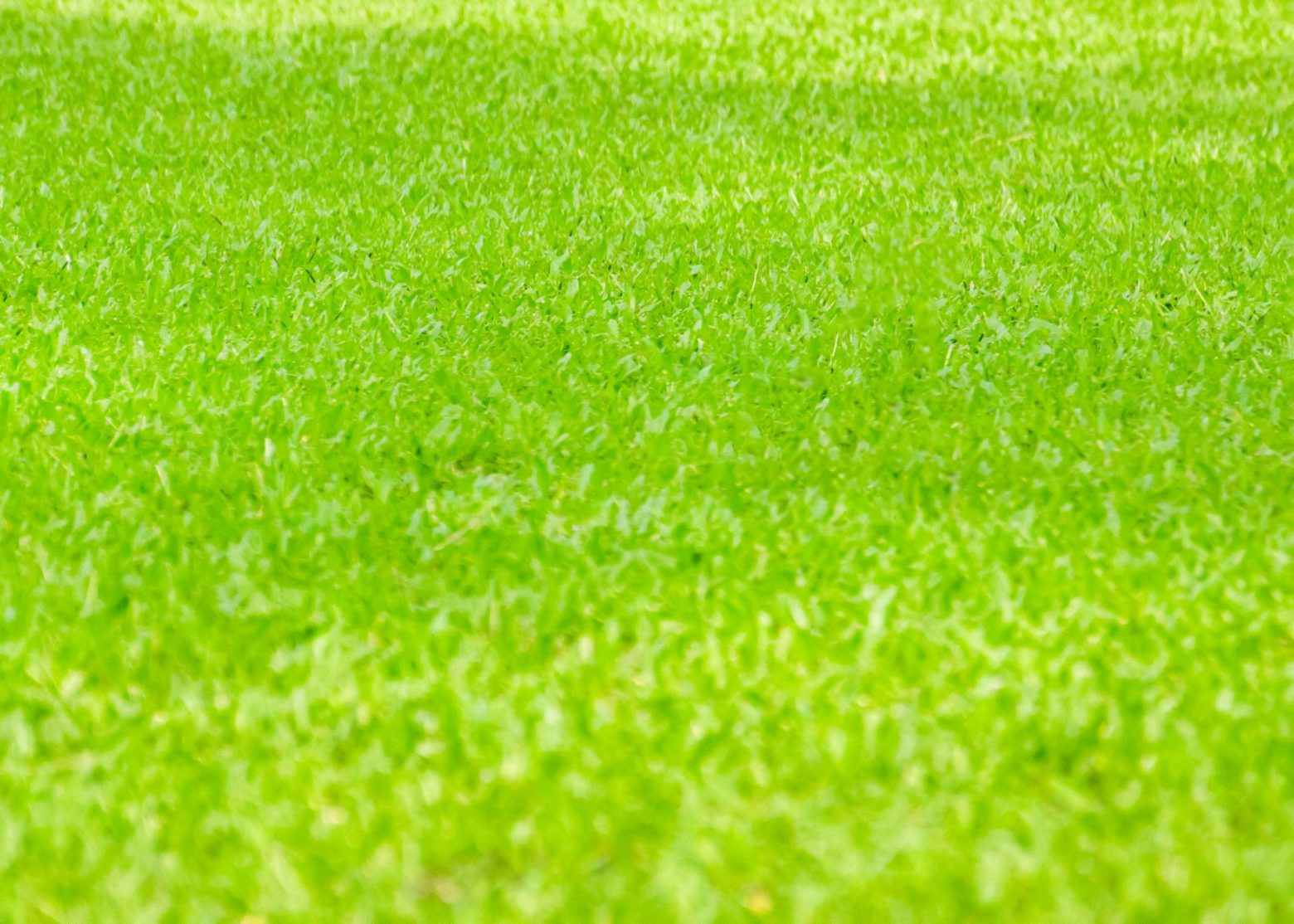 liquid-lawn-fertilizers-lawn-rules-australia