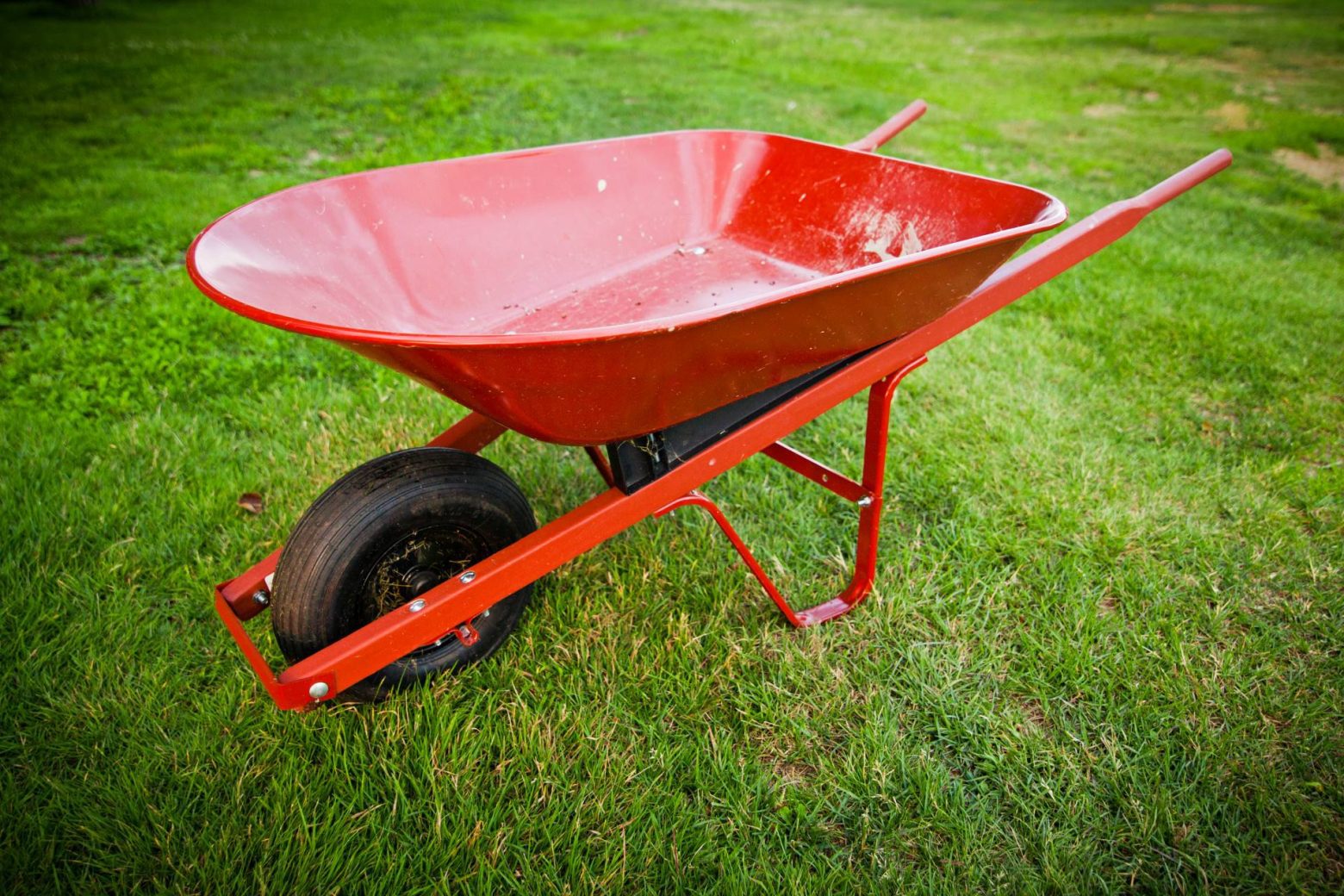 liquid-fertiliser-solution-lawn-rules-australia