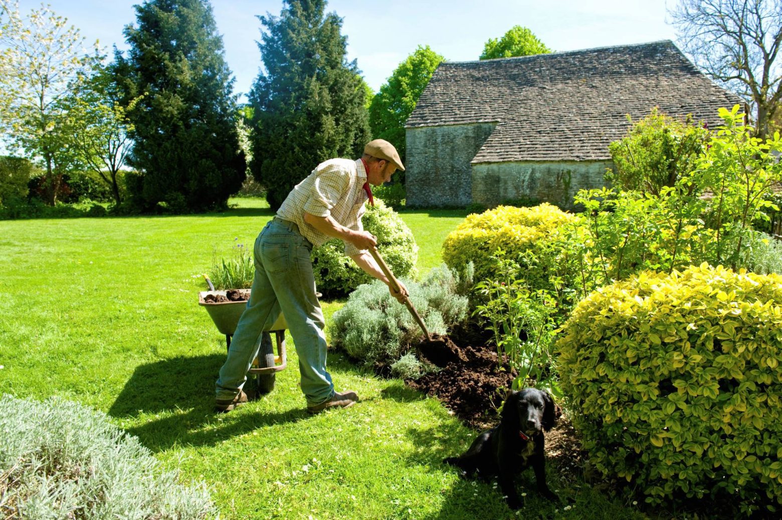 liquid-fertiliser-lawn-rules-australia