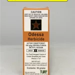 Odessa